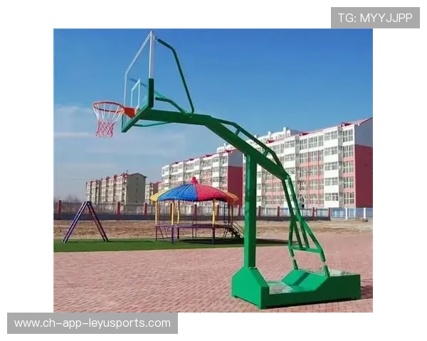 篮球运动装备国产品牌市场份额提升，篮球器材品牌