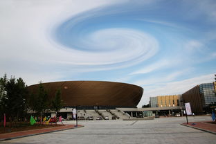 乐鱼体育下载入口-高校体育场馆智能运营系统设计研究，高校体育场馆现状