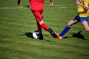 乐鱼官网优惠-拳击国家队备战亚运 实施精英训练计划，拳击亚军奖杯照片