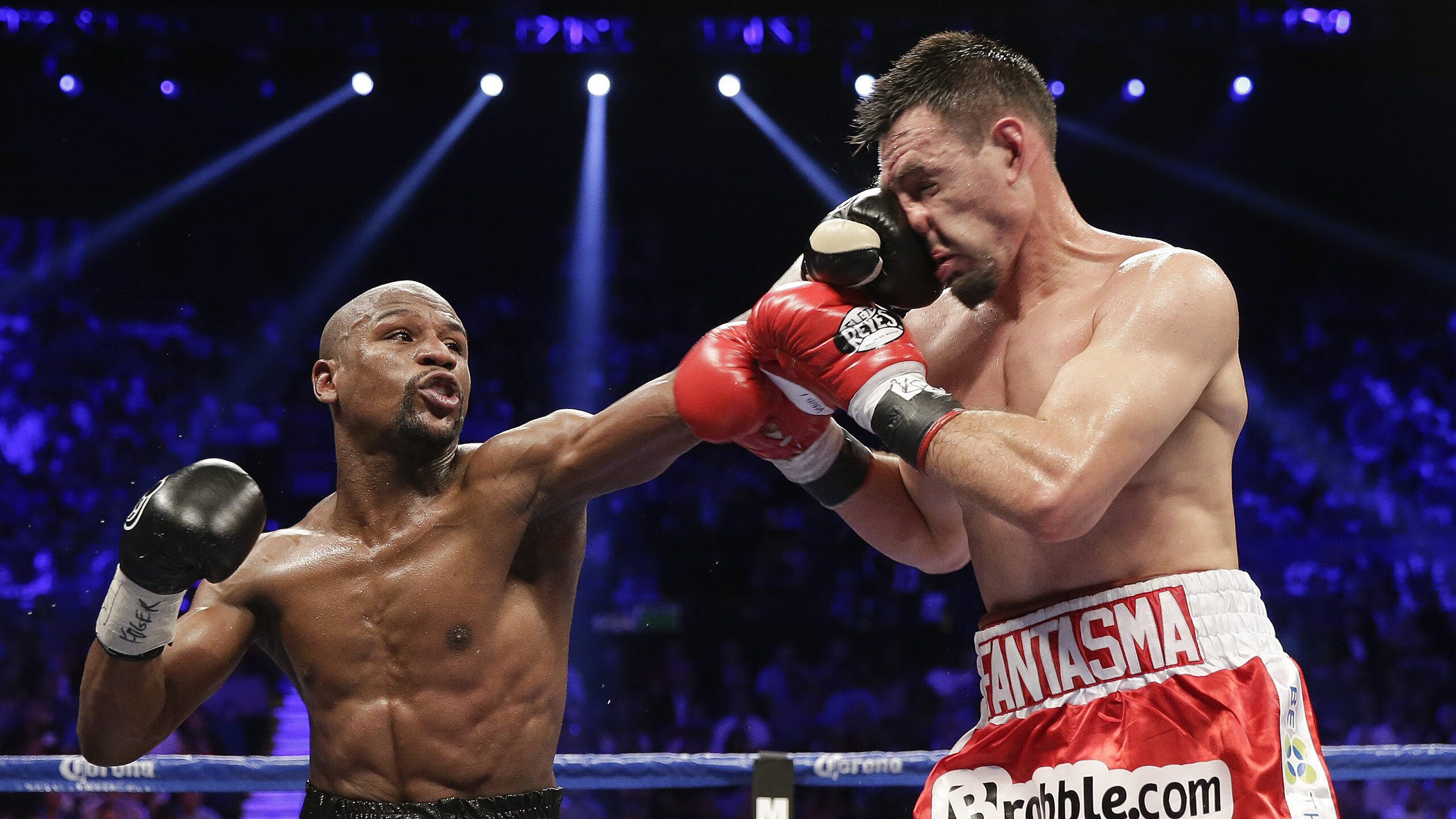 乐鱼体育app官网入口-台风后惠州海滩生态复苏，海鲜大丰收，惠州台风预警